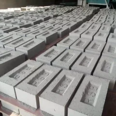 Fly ash bricks